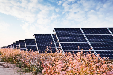 中國(guó)華能的“高性價(jià)比”光伏電站，妙招在這里！